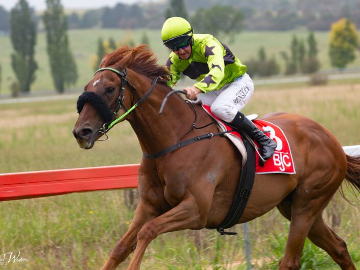 Braidwood Races – 2024