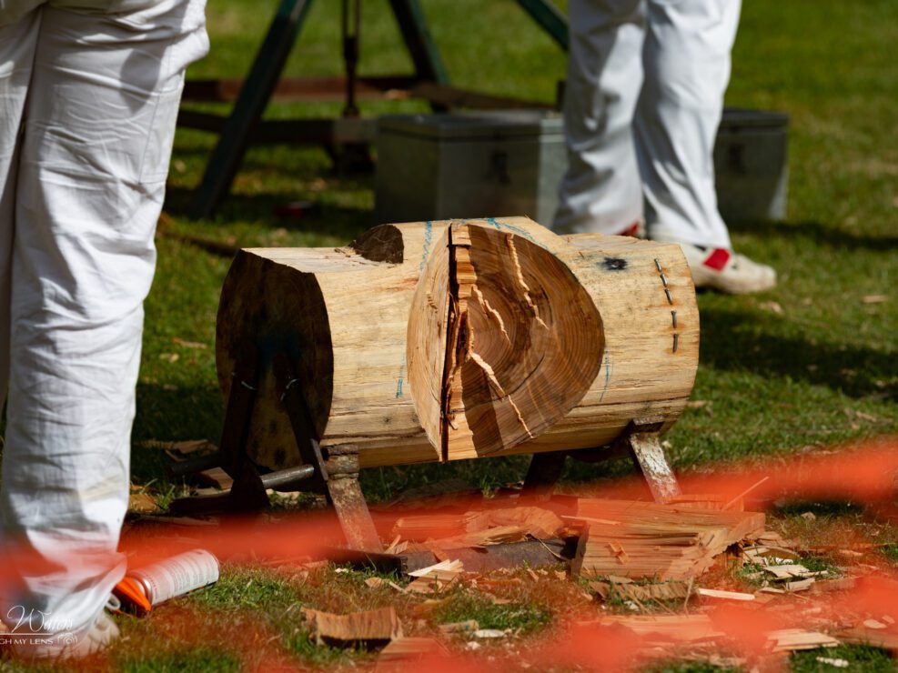 Majors Creek 2025 WoodChop